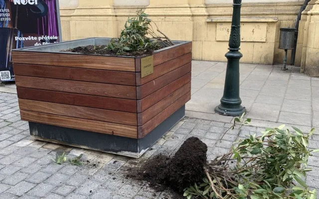 Opilí vandalové, kteří zdemolovali zeleň v centru Plzně se přihlásili na policii. Škodu si už brzy odpracují