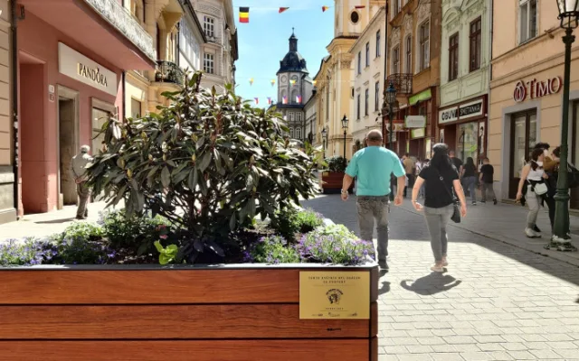 Takto krásně vypadají v létě velké květníky ve Smetanových sadech