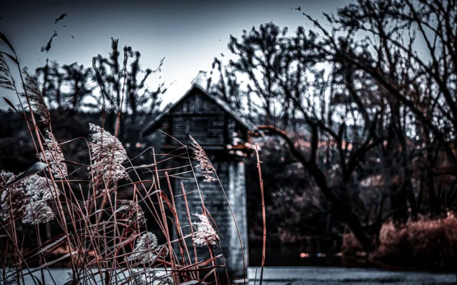 foto: Petr Tomka