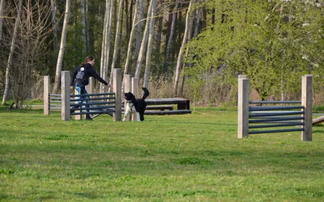 Obávané nocležiště bezdomovců plné černých skládek se proměnilo v nový park za 18 milionů korun