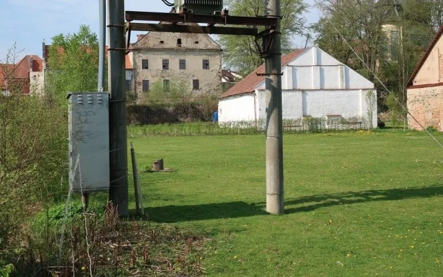 Čapího samce zabil elektrický proud. Bez něj nemá samice šanci mláďata uživit