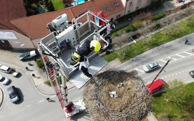 Šlo o minuty, dramatická záchrana tří čerstvě vylíhnutých čapích mláďat z hnízda od jejich ovdovělé matky