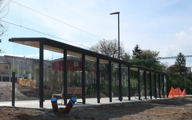 Prosklené zastávky hromadné dopravy zabijí ročně tisícovky ptáků, problém někteří projektanti vůbec neřeší