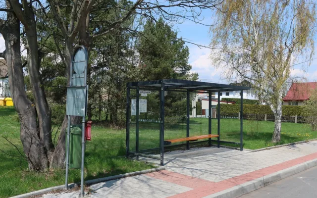 Prosklené zastávky hromadné dopravy zabijí ročně tisícovky ptáků, problém někteří projektanti vůbec neřeší