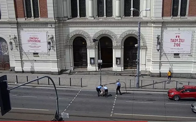 Zmatená ovce pobíhala po rušné komunikaci v centru Plzně, pronásledovali ji strážníci městské policie