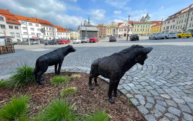 Velmi populární jsou v Klatovech sochy dvou hyen