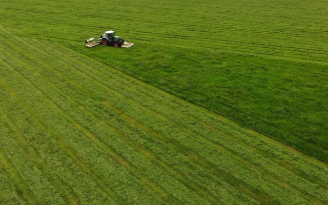 Každý rok zemře při sečích na loukách až 60 tisíc srnčat, zachraňují je dobrovolníci i dronaři s termokamerou