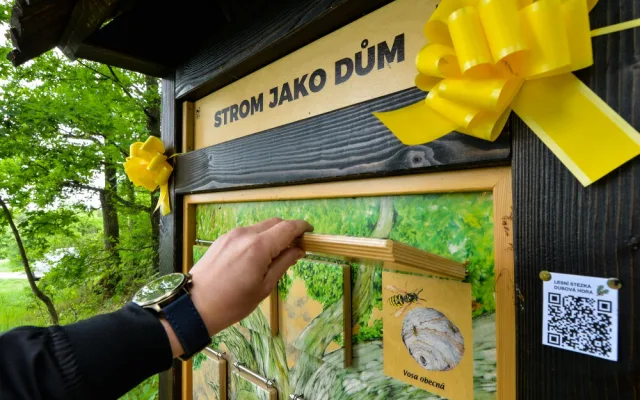 Na území Plzně vznikla už třináctá naučná stezka, nachází se na Dubové hoře v Liticích a je ideální pro děti