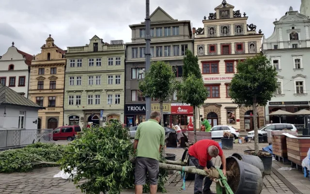 Na snímku nejsou zachycení vandalové, kteří v březnu květináče poškodili.