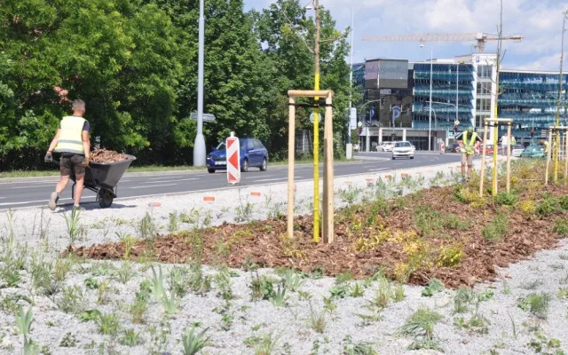 Po úpravách za 3, 3 milionu už se začíná zelenat středový pás podél nejfrekventovanější komunikace v Plzni