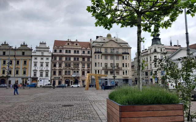 Většina Plzeňanů si přeje, aby stromy na náměstí zůstaly natrvalo, radnice se tím bude zabývat