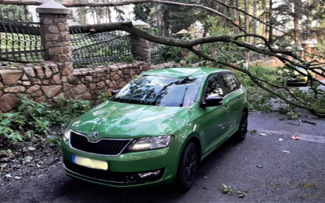 Ulomená obří větev ráno zasáhla projíždějící automobil a zranila jeho řidičku