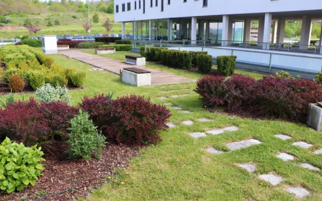 V roce 2019 bodovala v soutěži o nejlepší zelenou střechu Fakultní nemocnice Plzeň, získala cenu veřejnosti, foto: FN Plzeň
