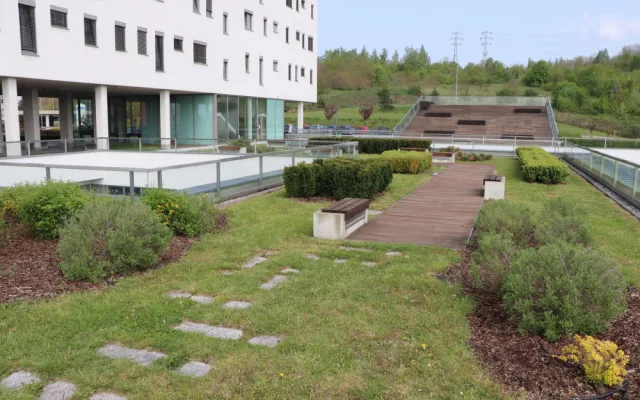 V roce 2019 bodovala v soutěži o nejlepší zelenou střechu Fakultní nemocnice Plzeň, získala cenu veřejnosti, foto: FN Plzeň