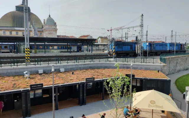 Rozchodníkové rohože jsou také na střeše kontejnerů u Paluby Hamburk