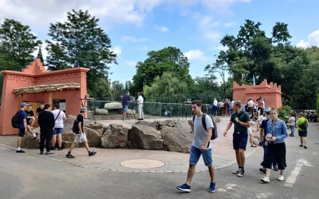 Zoologická zahrada po 20 letech přebudovala výběh pro lvy berberské, mají více prostoru