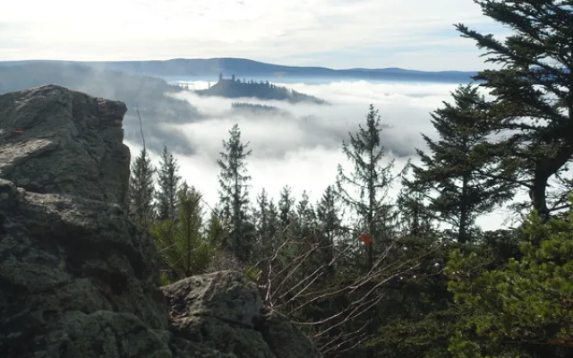 Hradiště Sedlo u Sušice, foto: NPÚ