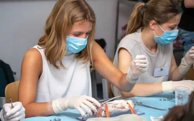 Studenti medicíny mají jedinečnou možnost vyzkoušet si své dovednosti v praxi, operují prasata domácí