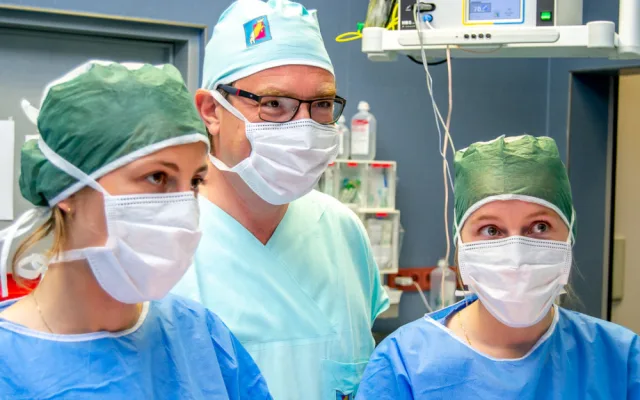 Studenti medicíny mají jedinečnou možnost vyzkoušet si své dovednosti v praxi, operují prasata domácí