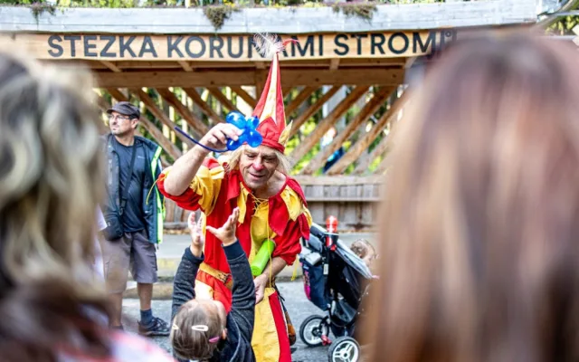 Stezka korunami stromů Lipno slaví první kulatiny
