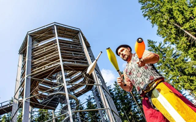 Stezka korunami stromů Lipno slaví první kulatiny