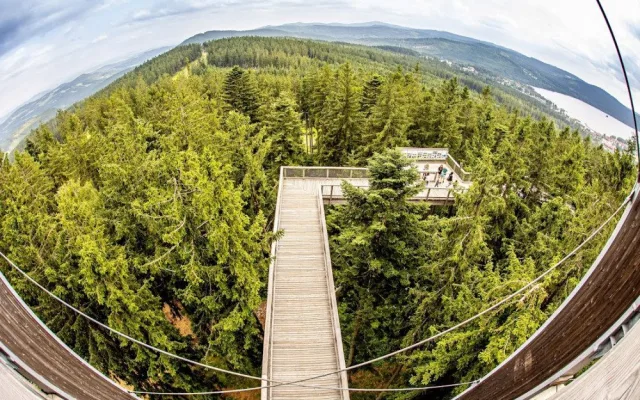 Stezka korunami stromů Lipno slaví první kulatiny