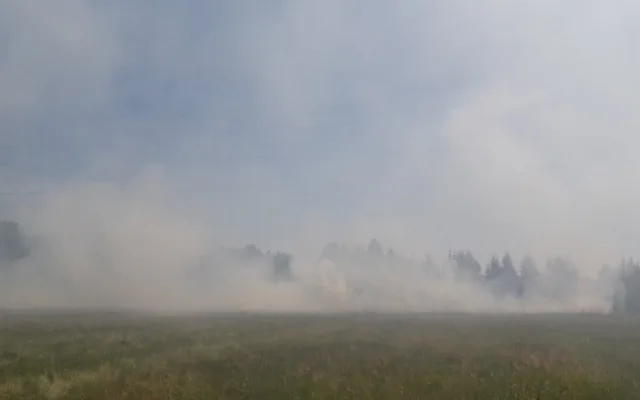 Požár louky u obce Staré Sedliště na Tachovsku