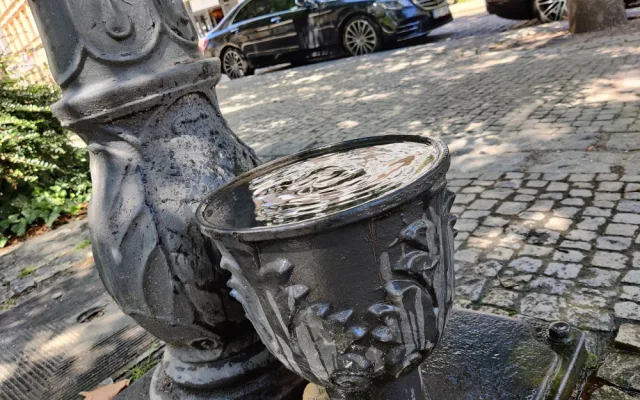 Pítka nabízí v parných letních dnech kýžené osvěžení, jsou nenápadná a najdete je hlavně v sadovém okruhu