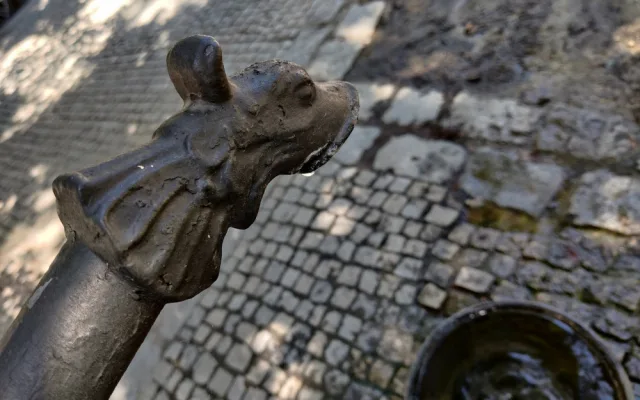 Pítka nabízí v parných letních dnech kýžené osvěžení, jsou nenápadná a najdete je hlavně v sadovém okruhu