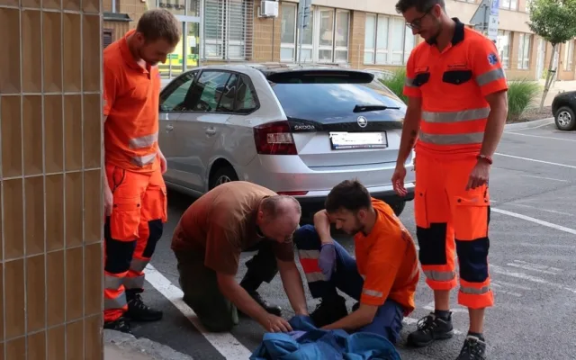 Když je potřeba, zachrání zdravotníci i životy dvou mláďat poštolky, která vypadla ze stejného hnízda