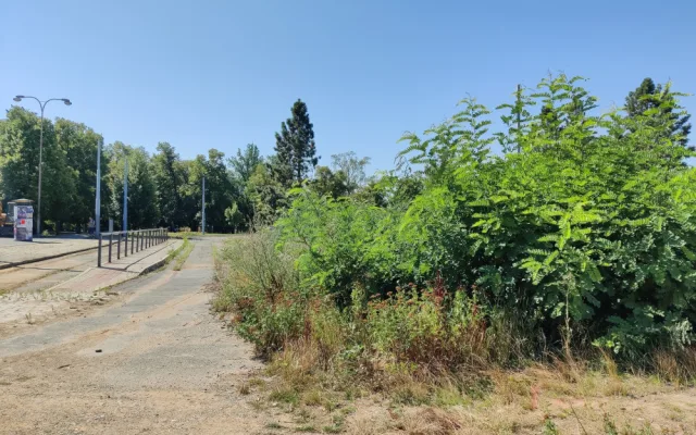 Bývalá konečná tramvaje se promění ve vstupní bránu do Borského parku, vznikne tam pavilon s kavárnou