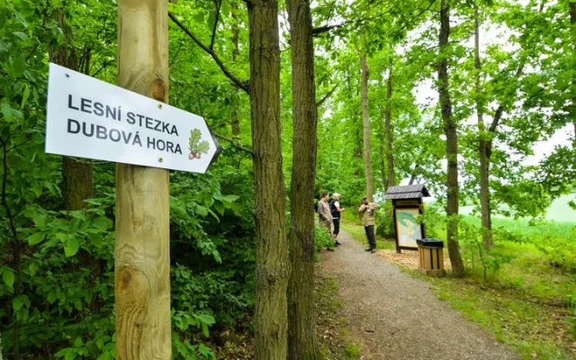 Rekreační zóny v Plzni se dočkají novinek, přibude ovocný sad, tůně i nové cesty