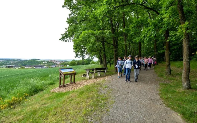 Rekreační zóny v Plzni se dočkají novinek, přibude ovocný sad, tůně i nové cesty