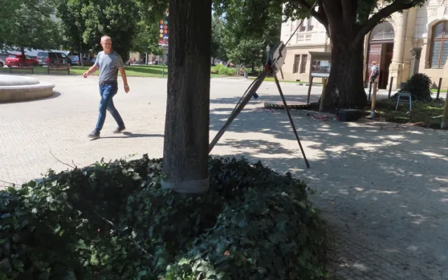 Při zátěžových testech se využíval i kmen vedle rostoucího stromu