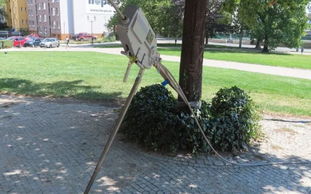 Při zátěžových testech se využíval i kmen vedle rostoucího stromu