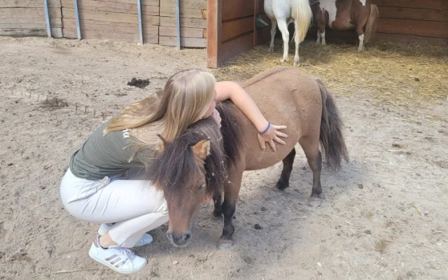 Oblíbená Pepina zaplatila životem za kolosální hloupost nezodpovědných návštěvníků