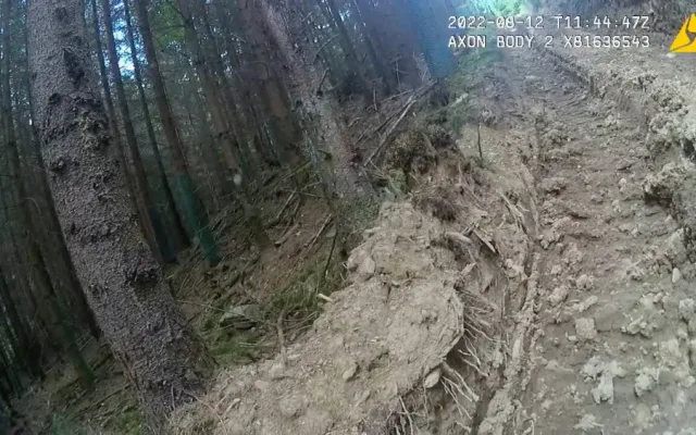 Nejhorší devastace lesů za poslední roky, hodnotí spolky hospodaření městské firmy v šumavském národním parku