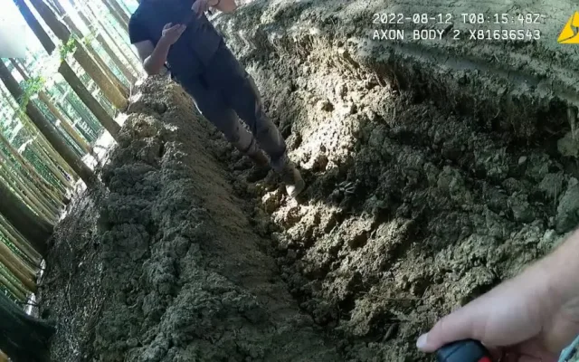 Nejhorší devastace lesů za poslední roky, hodnotí spolky hospodaření městské firmy v šumavském národním parku