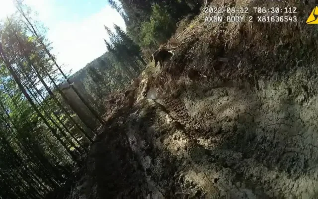 Nejhorší devastace lesů za poslední roky, hodnotí spolky hospodaření městské firmy v šumavském národním parku