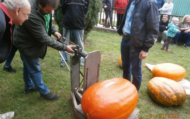 V soutěži obřích dýní se neztratily gigantické plody ze západu Čech. Ta úplně nejtěžší ze všech vážila 48,5 kg