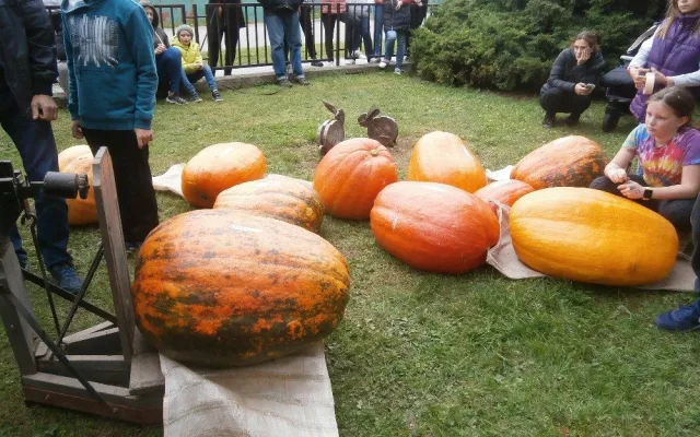 V soutěži obřích dýní se neztratily gigantické plody ze západu Čech. Ta úplně nejtěžší ze všech vážila 48,5 kg