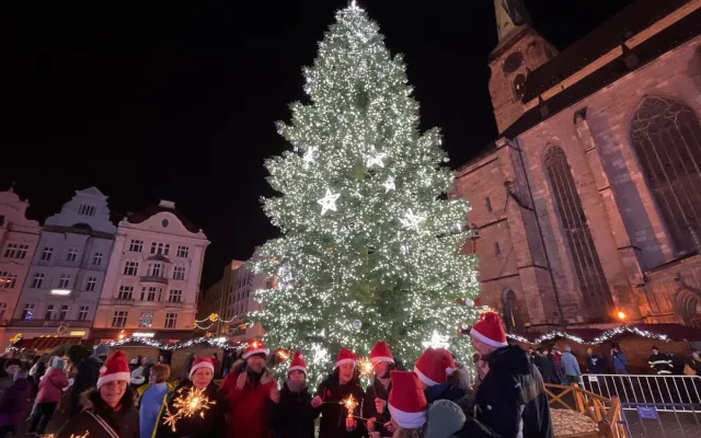 Radnice hledá vánoční strom, který bude dělat parádu na náměstí, majiteli pomůže s pokácením a zajistí i odvoz