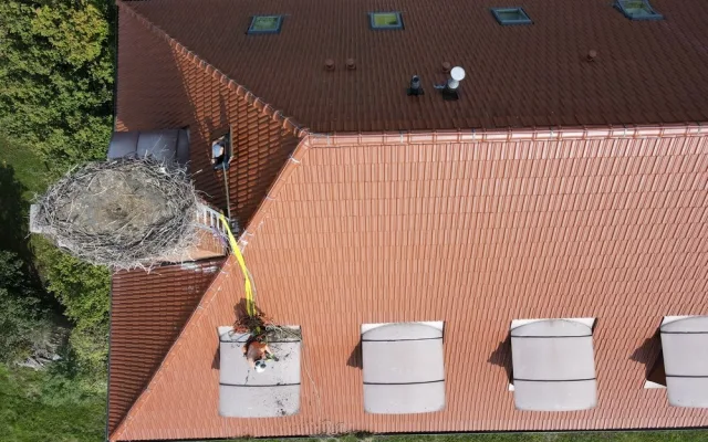 Čápi odletěli do teplých krajin, ve výškách začíná sezóna náročné údržby a čištění jejich opuštěných hnízd