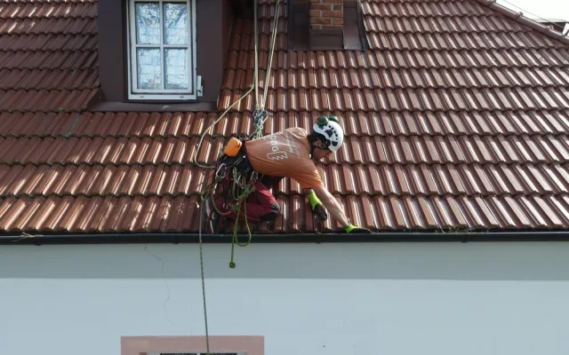Čápi odletěli do teplých krajin, ve výškách začíná sezóna náročné údržby a čištění jejich opuštěných hnízd