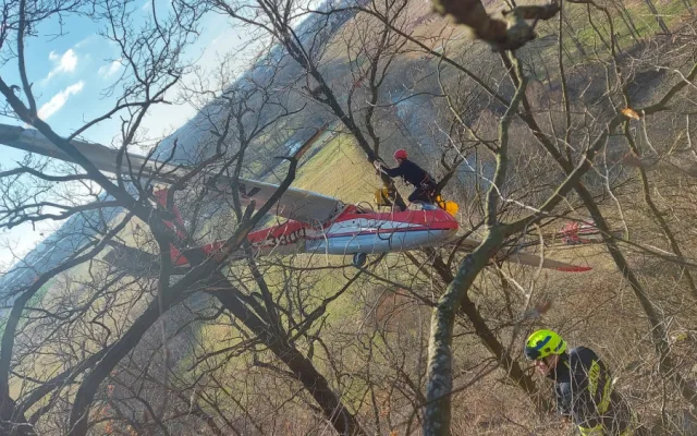 VIDEO: Kluzák na letiště nedoletěl a skončil ve větvích stromů, podle odborníků chyboval pilot
