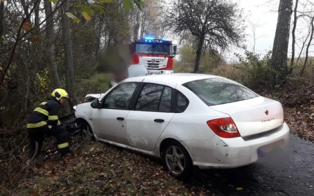 Řidička zemřela po nárazu do stromu, nejspíš za volantem těsně před tragédií zkolabovala