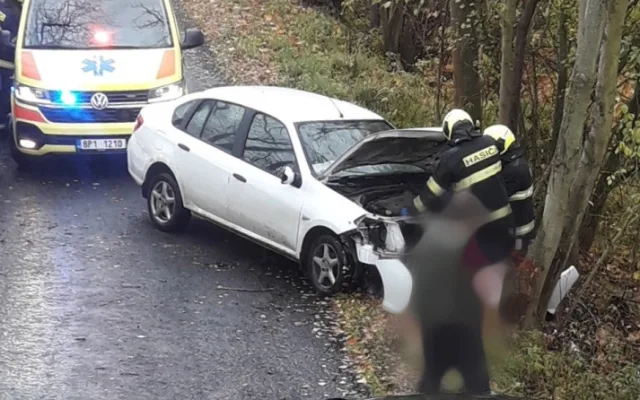 Řidička zemřela po nárazu do stromu, nejspíš za volantem těsně před tragédií zkolabovala