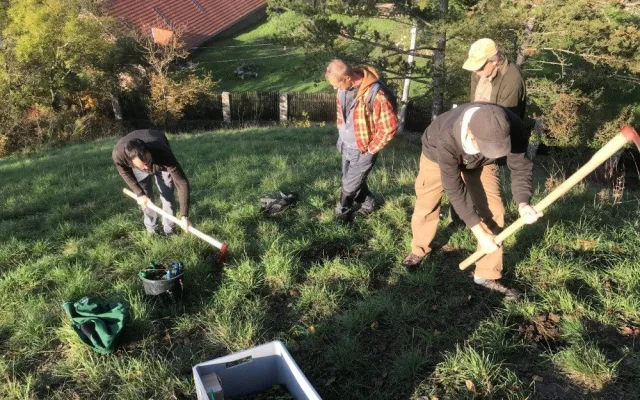 Kriticky ohrožený koniklec se díky práci plzeňských botaniků po 60 letech znovu vrací do přírody