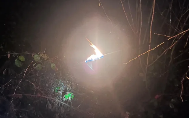 Spadlý strom zpřetrhal dráty elektrického vedení a odřízl část obce od proudu. Viníkem je bobr