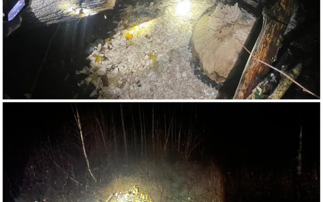 Spadlý strom zpřetrhal dráty elektrického vedení a odřízl část obce od proudu. Viníkem je bobr